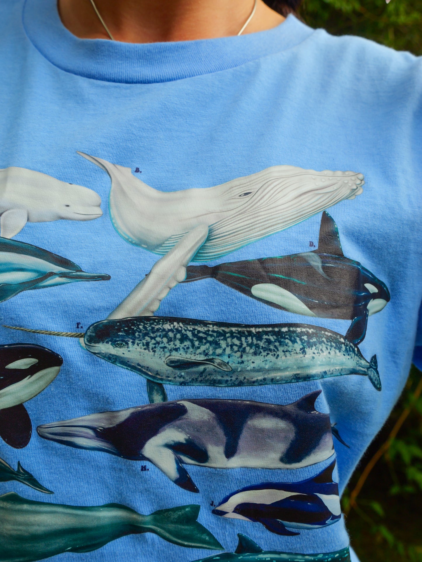 CETACEANS LIGHT BLUE T-SHIRT FRONT