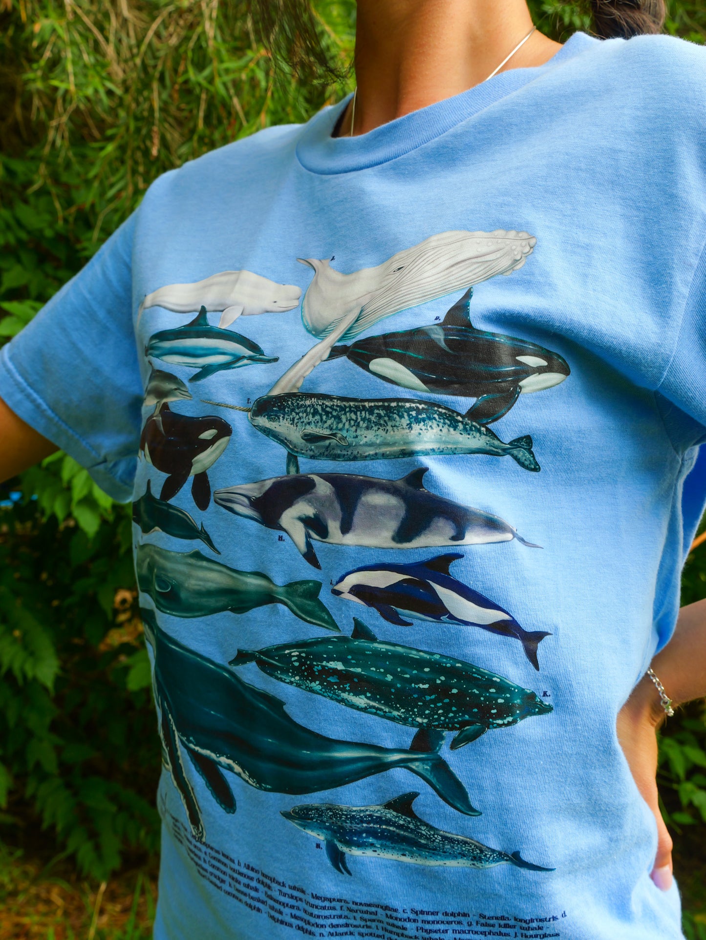 CETACEANS LIGHT BLUE T-SHIRT FRONT