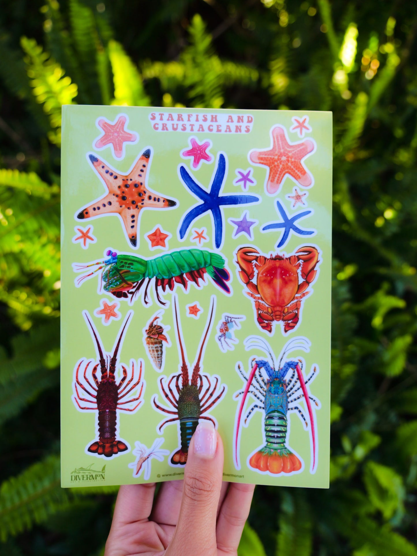 STARFISH AND CRUSTACEANS sticker sheet