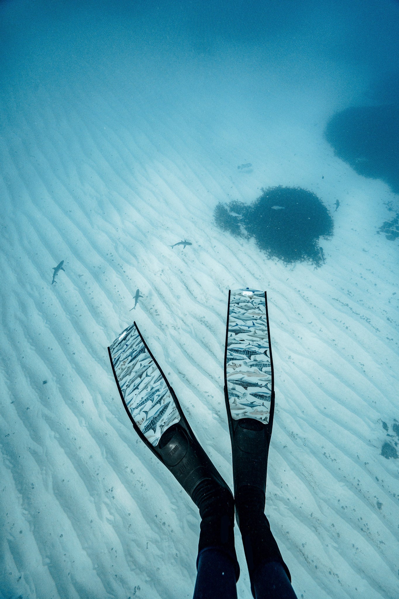 SHARK FREEDIVING FINS