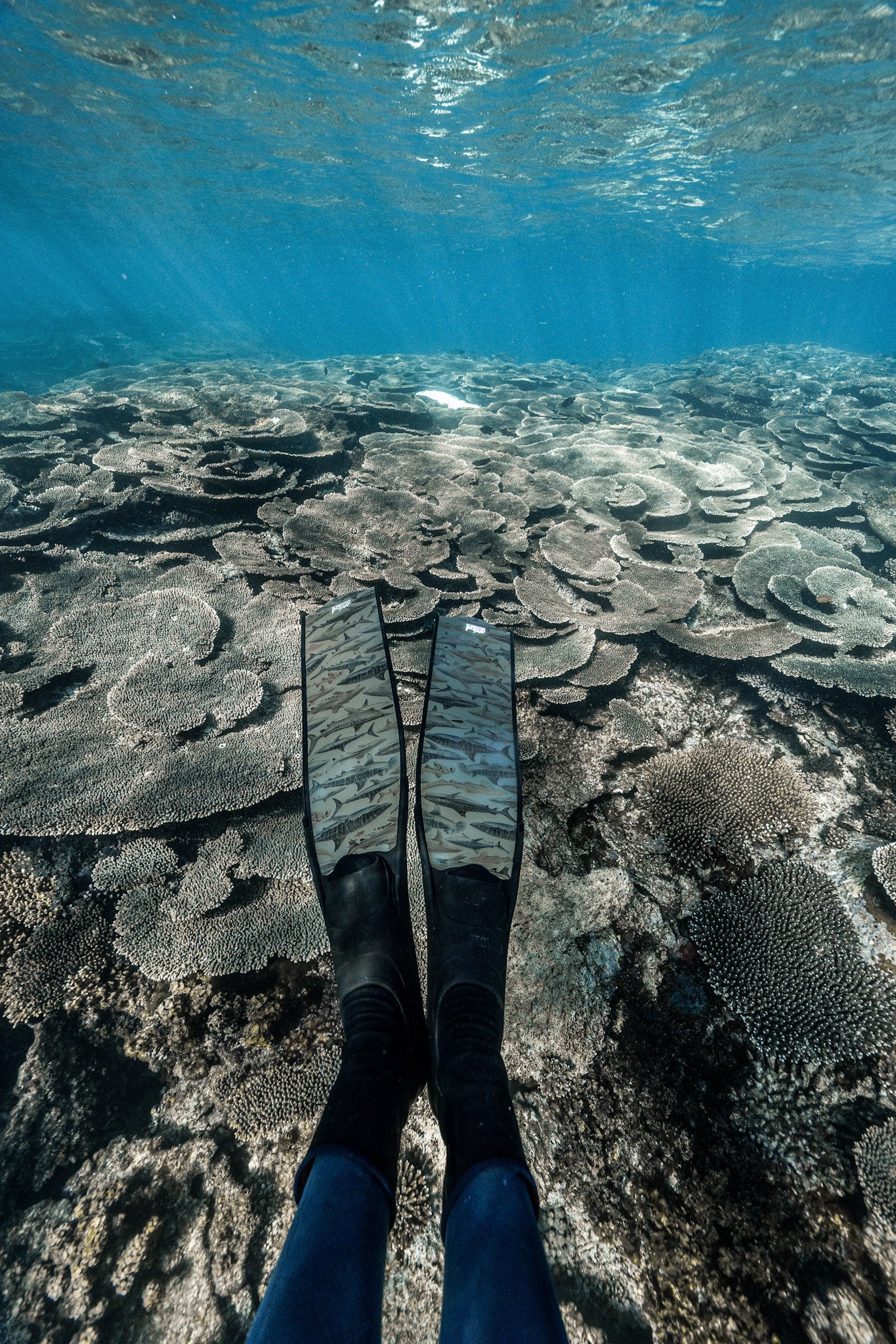 SHARK FREEDIVING FINS