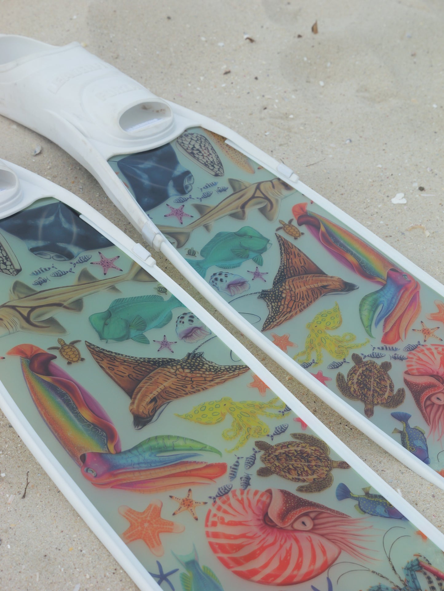 Colorful sea-themed design on a white background with marine illustrations by divermon