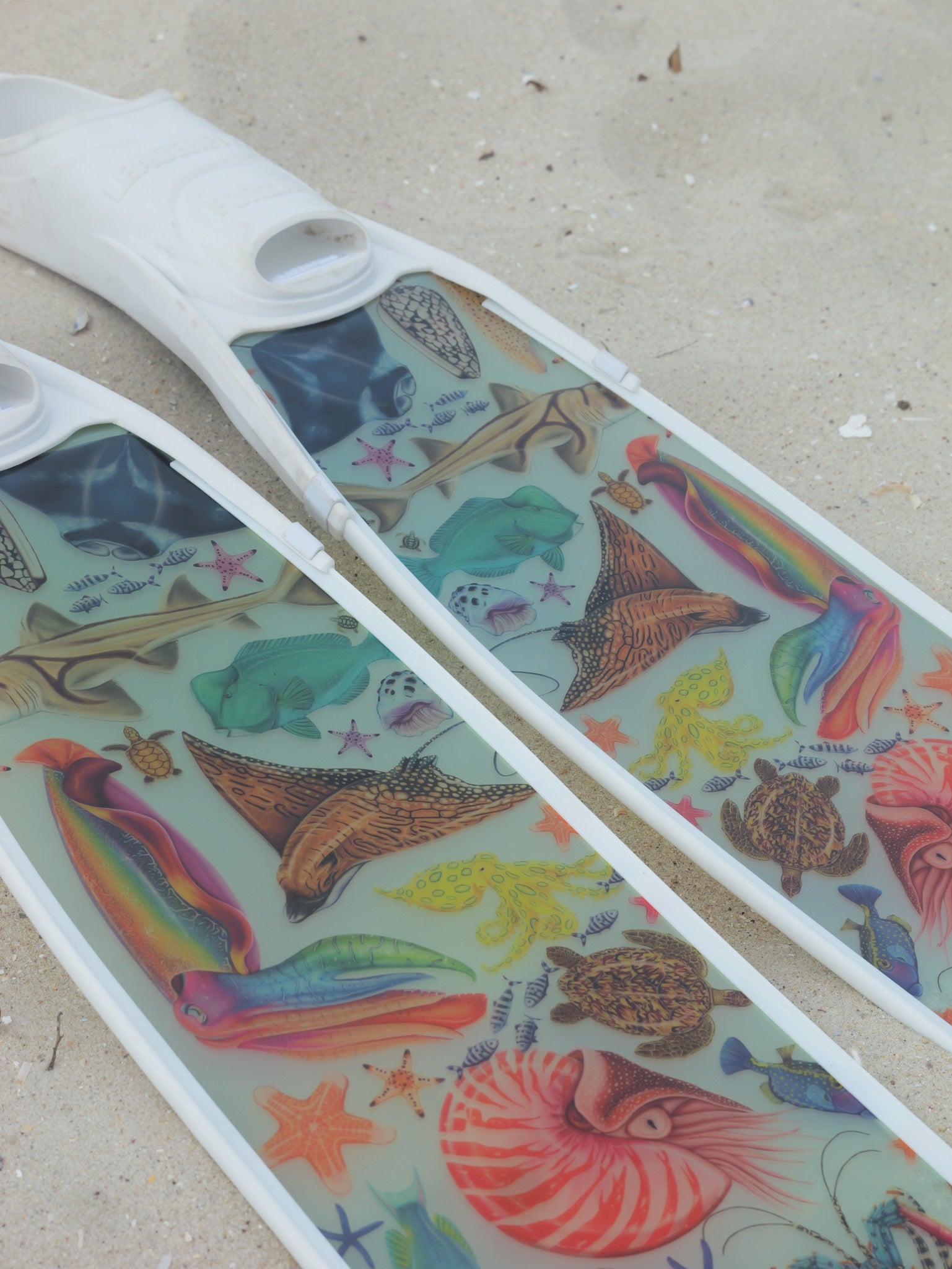 Colorful sea-themed design on a white background with marine illustrations by divermon