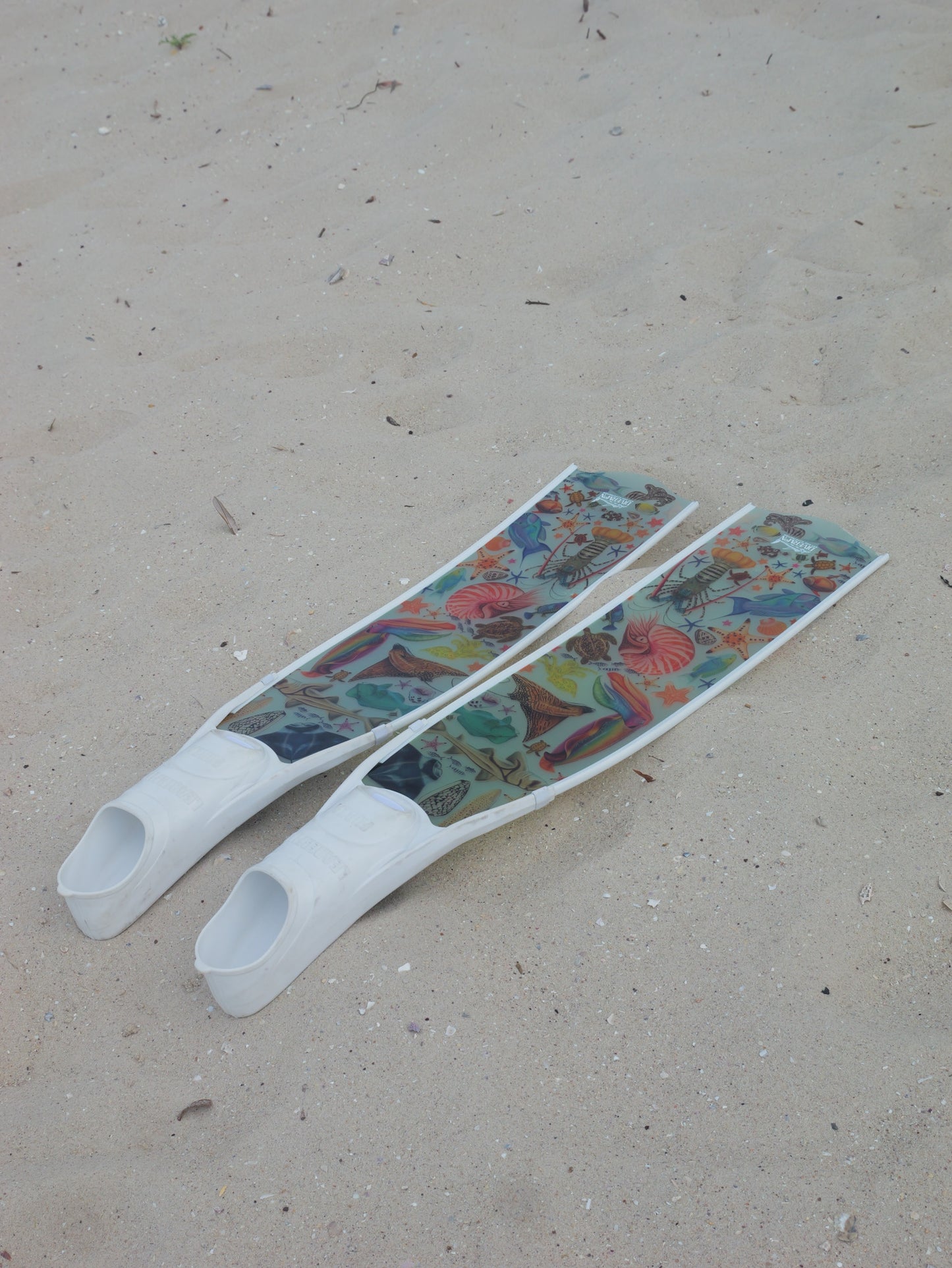 Pair of freediving fins with rainbow pattern of marine illustrations on a sandy surface