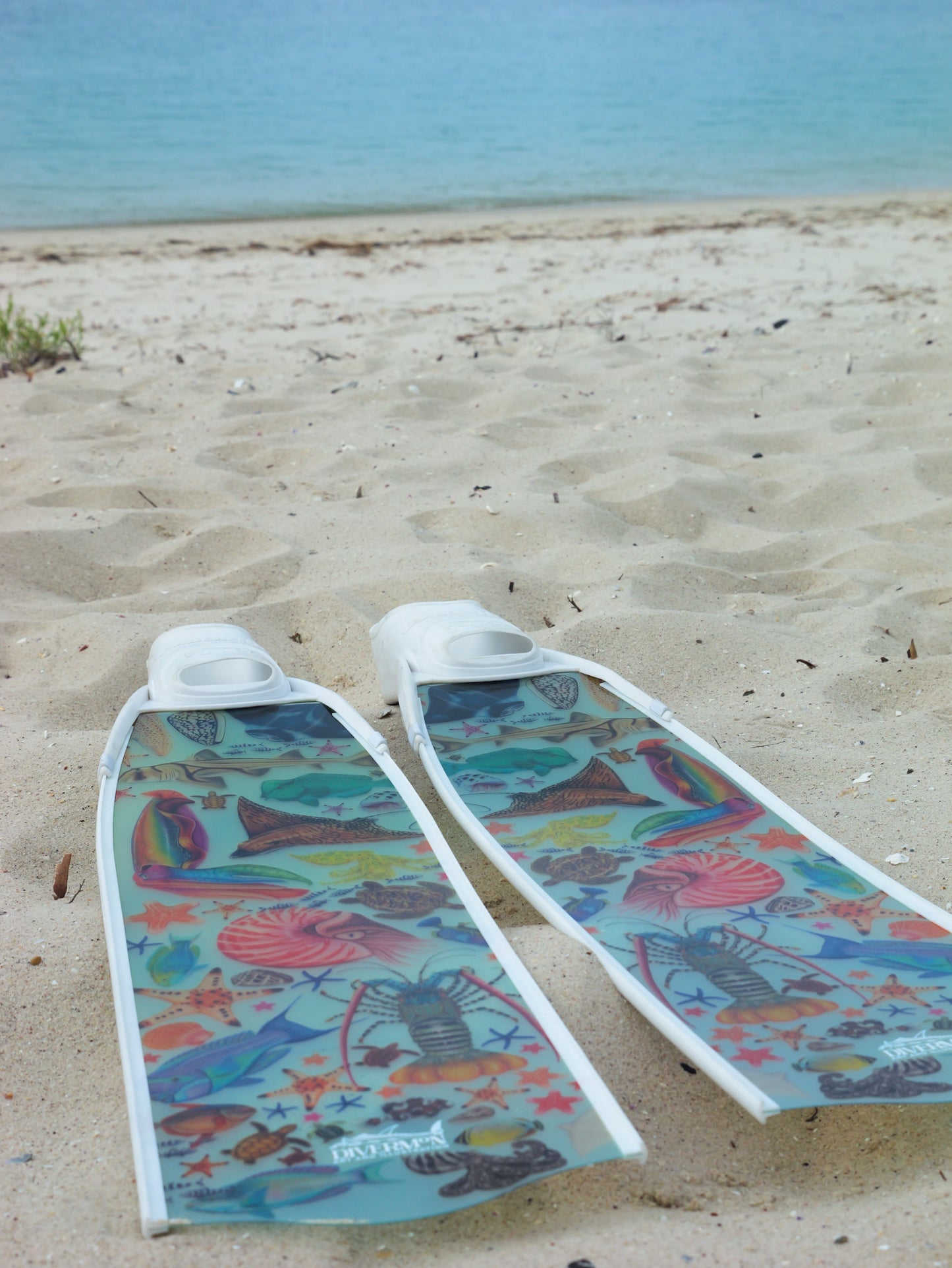 Colorful freediving fins on a sandy beach with ocean in the background