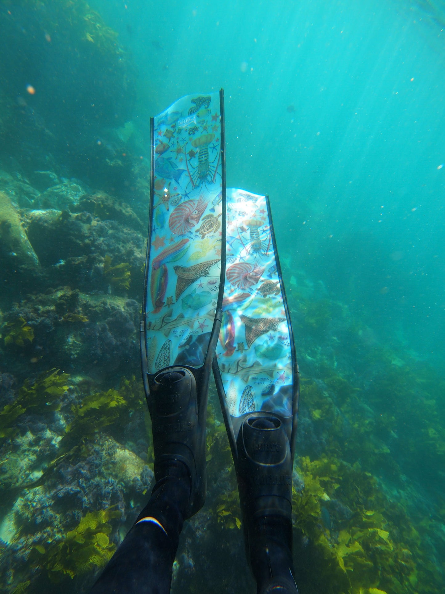 woman wearing freediving fins underwater with a view of ocean floor