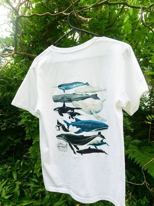 White t-shirt with whale design hanging on a tree branch with green leaves in the background
