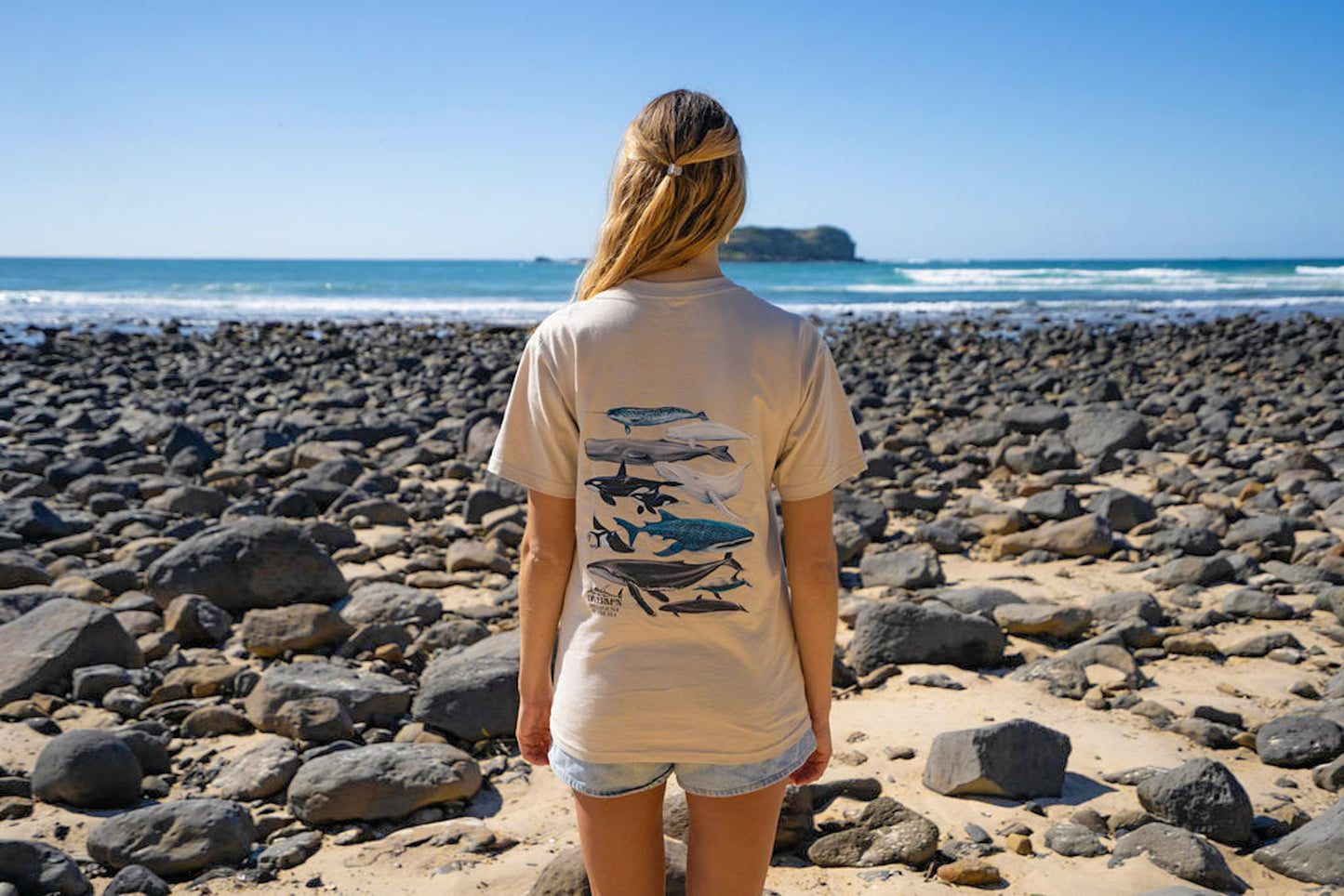 Person wearing a t-shirt with whale, whaleshark and manta design on a rocky beach