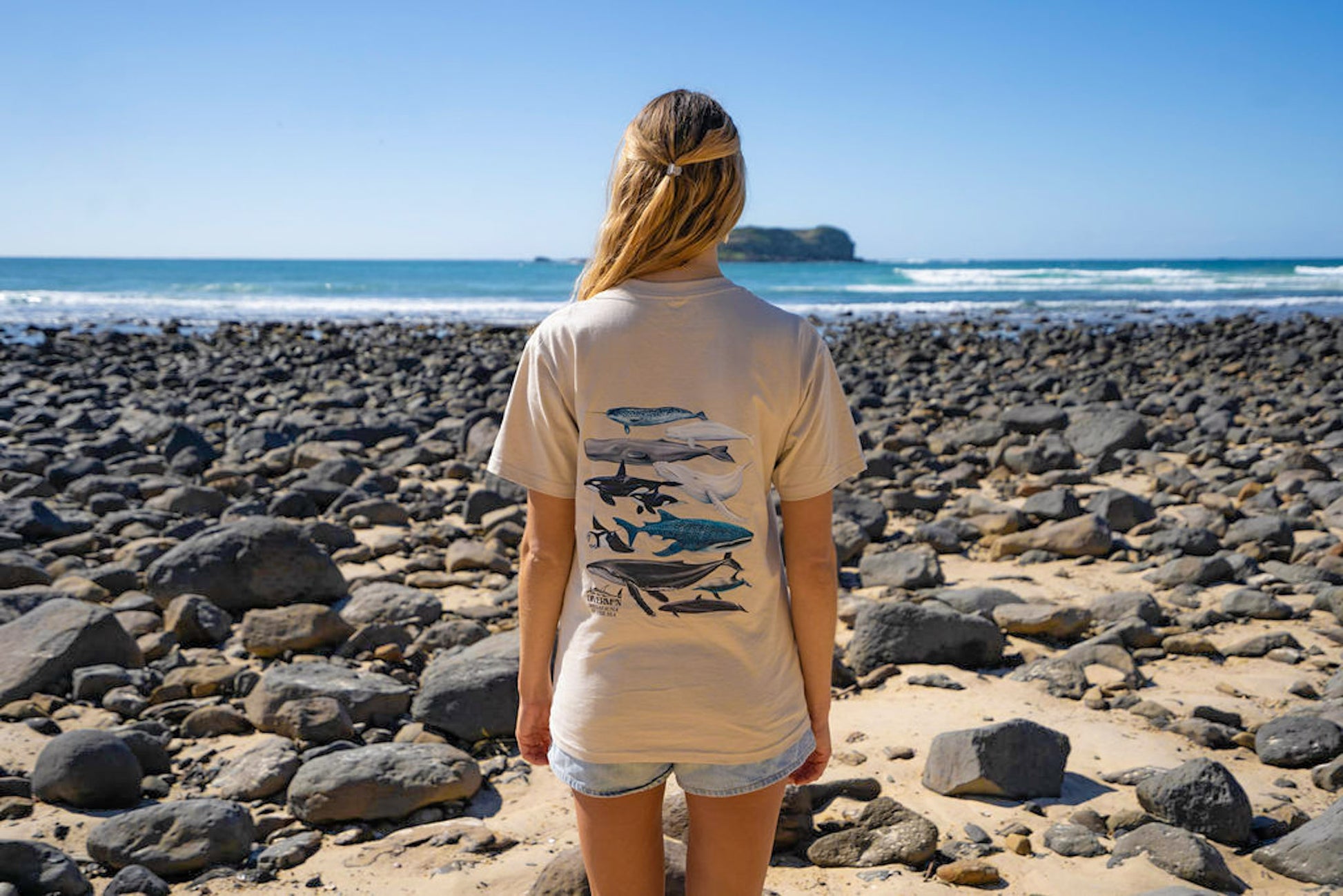 Person wearing a t-shirt with whale, whaleshark and manta design on a rocky beach