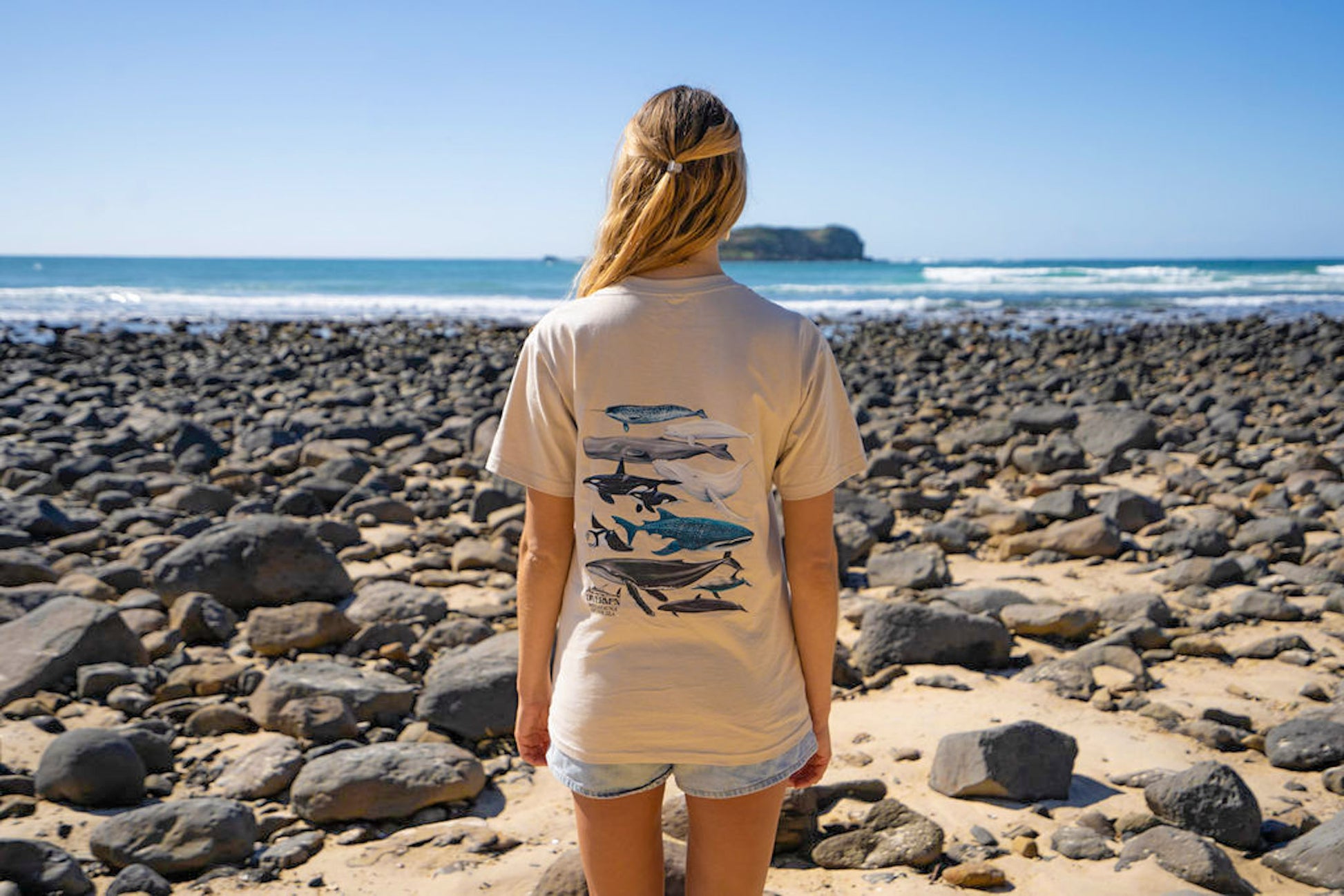 Person standing on a rocky beach wearing Diver Mon Art megafauna tan t-shirt with a whale design.