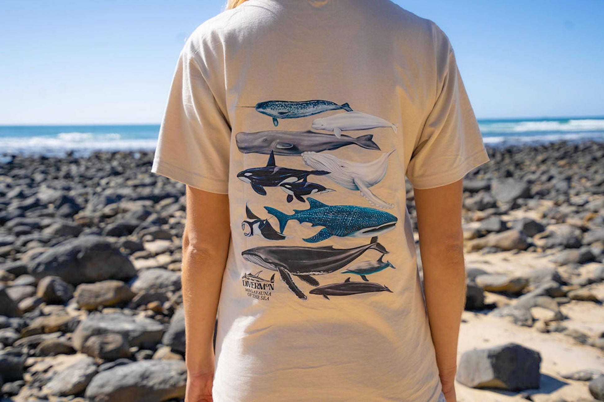 Person wearing a t-shirt with whale illustrations on a rocky beach