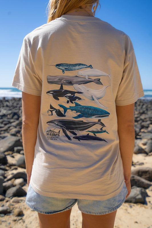 Person wearing a t-shirt with whale illustrations on a rocky beach.