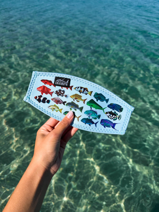 Hand holding the rainbow fish blue neoprene mask tamer design by Diver Mon Art design against a clear blue water background
