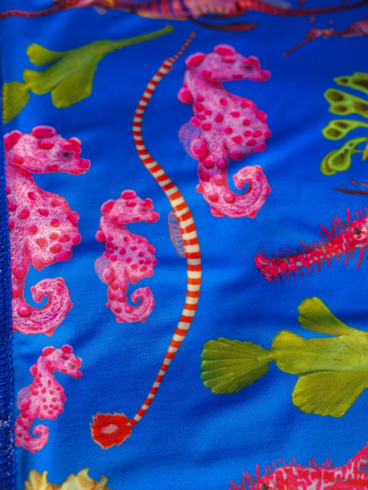 Seahorse dark blue UV gaiter buff design shown close up in great detail featuring the pygmy seahorse made from recycled polyester-spandex ocean illustration by Diver Mon Art