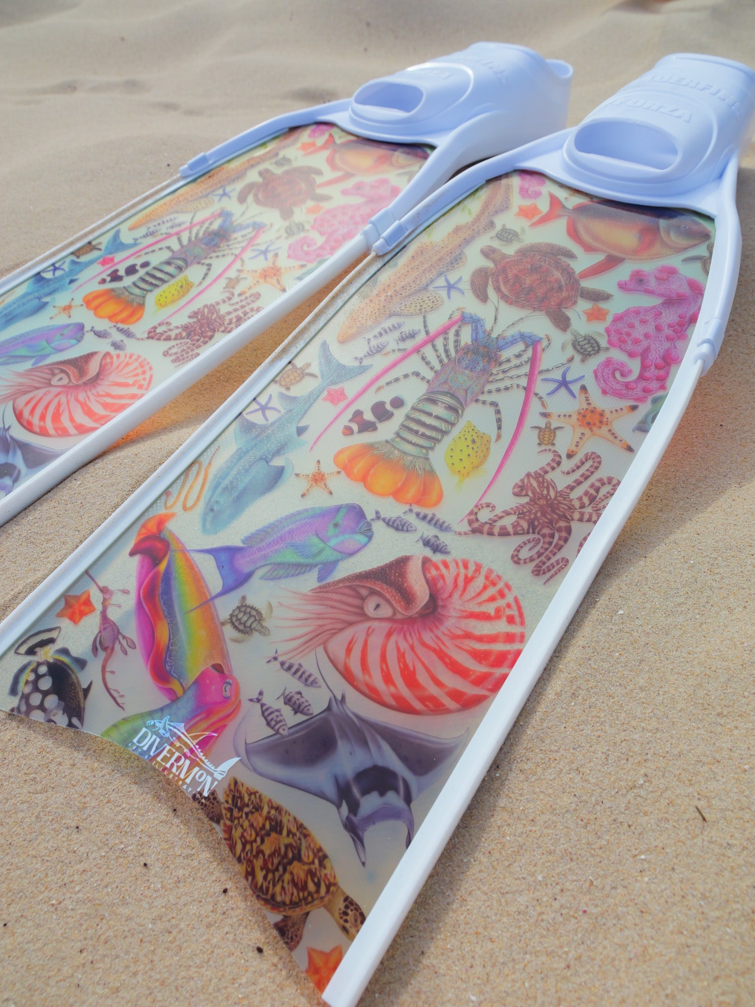 Short snorkelling fins for travel featuring rainbow ocean design with colourful marine life artwork by DiverMon