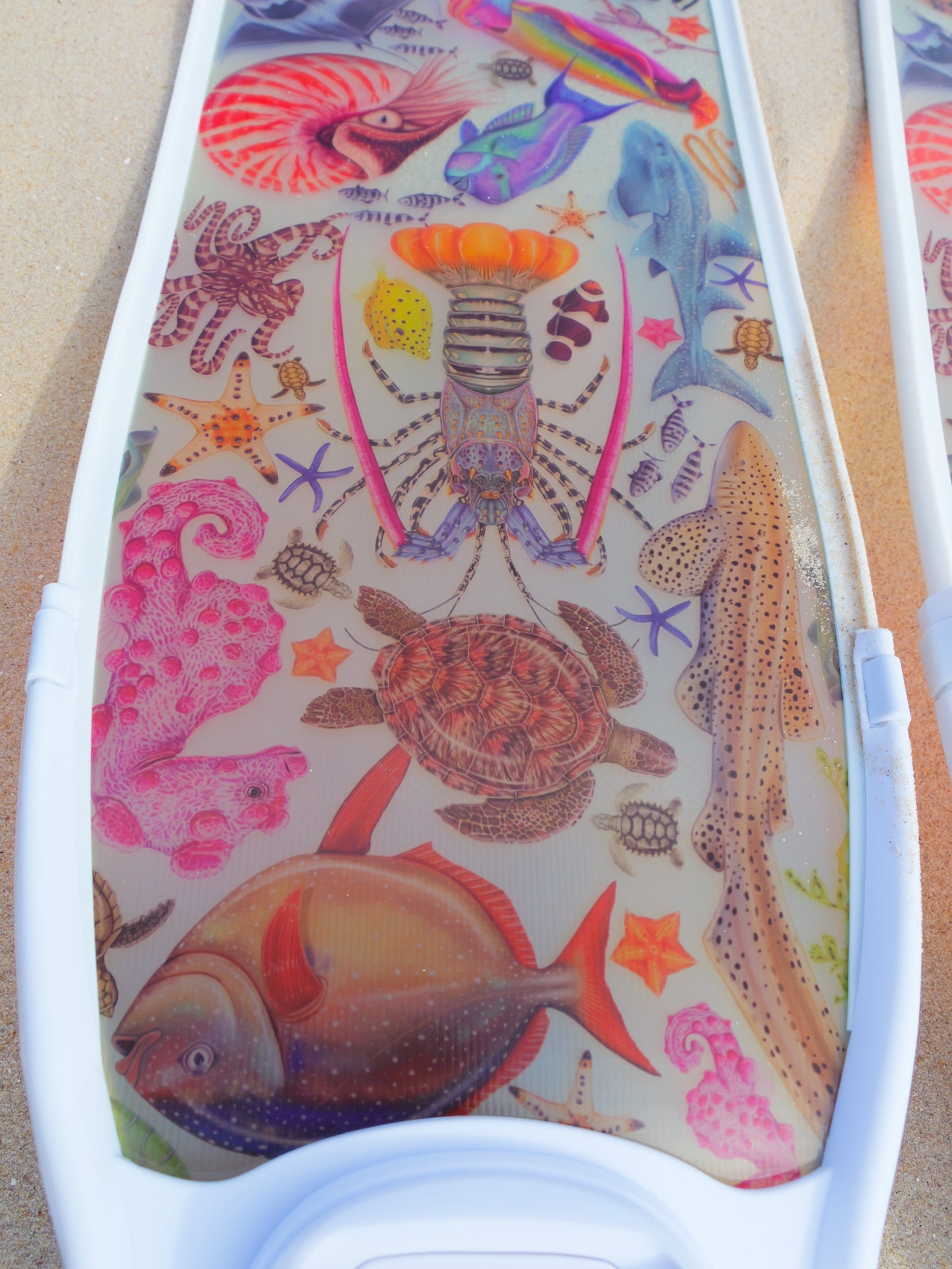 Short freediving fins for travel featuring rainbow ocean design with colourful marine life artwork by DiverMon