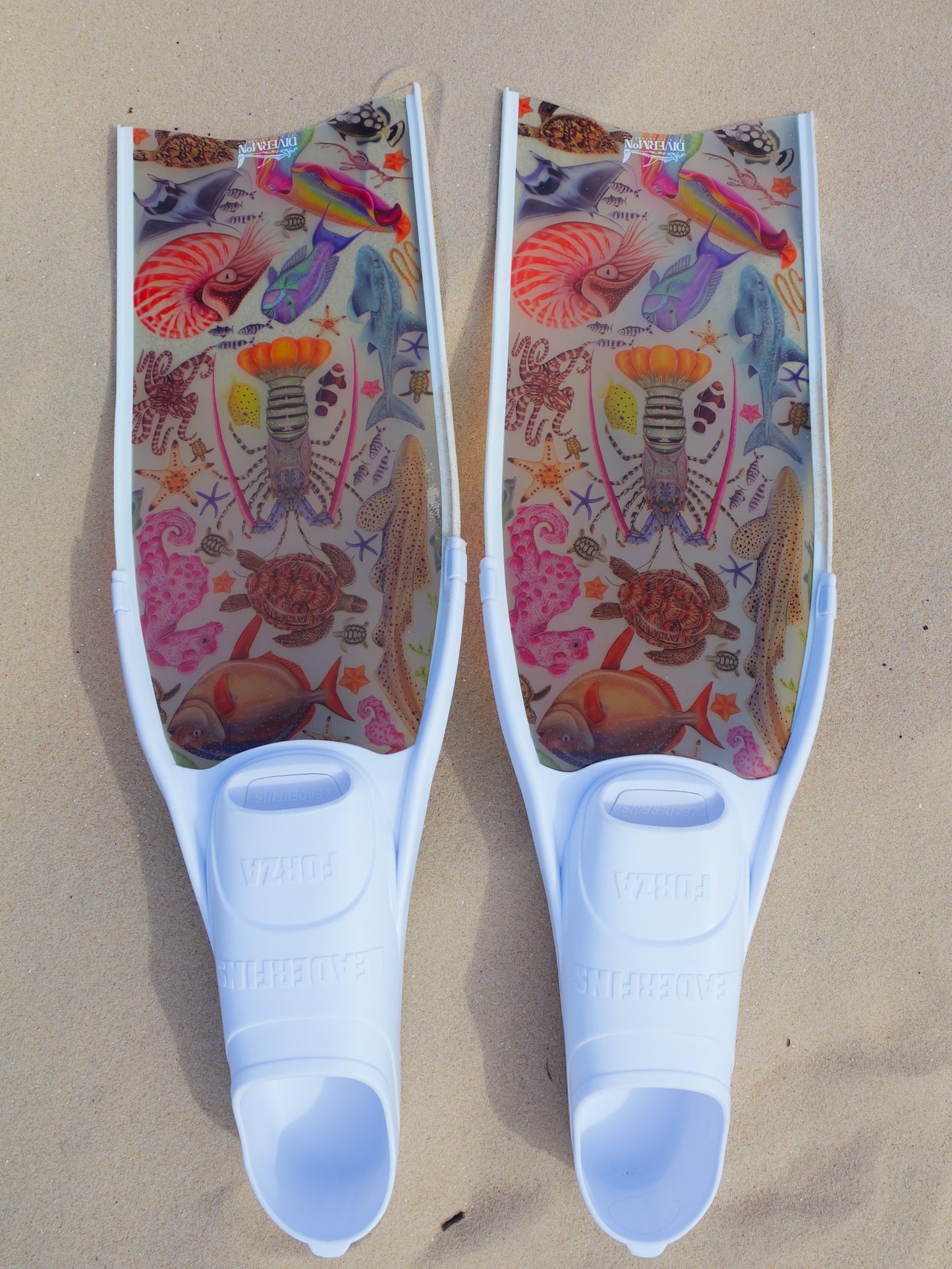 Short freediving fins for travel featuring rainbow ocean design with colourful marine life artwork by DiverMon