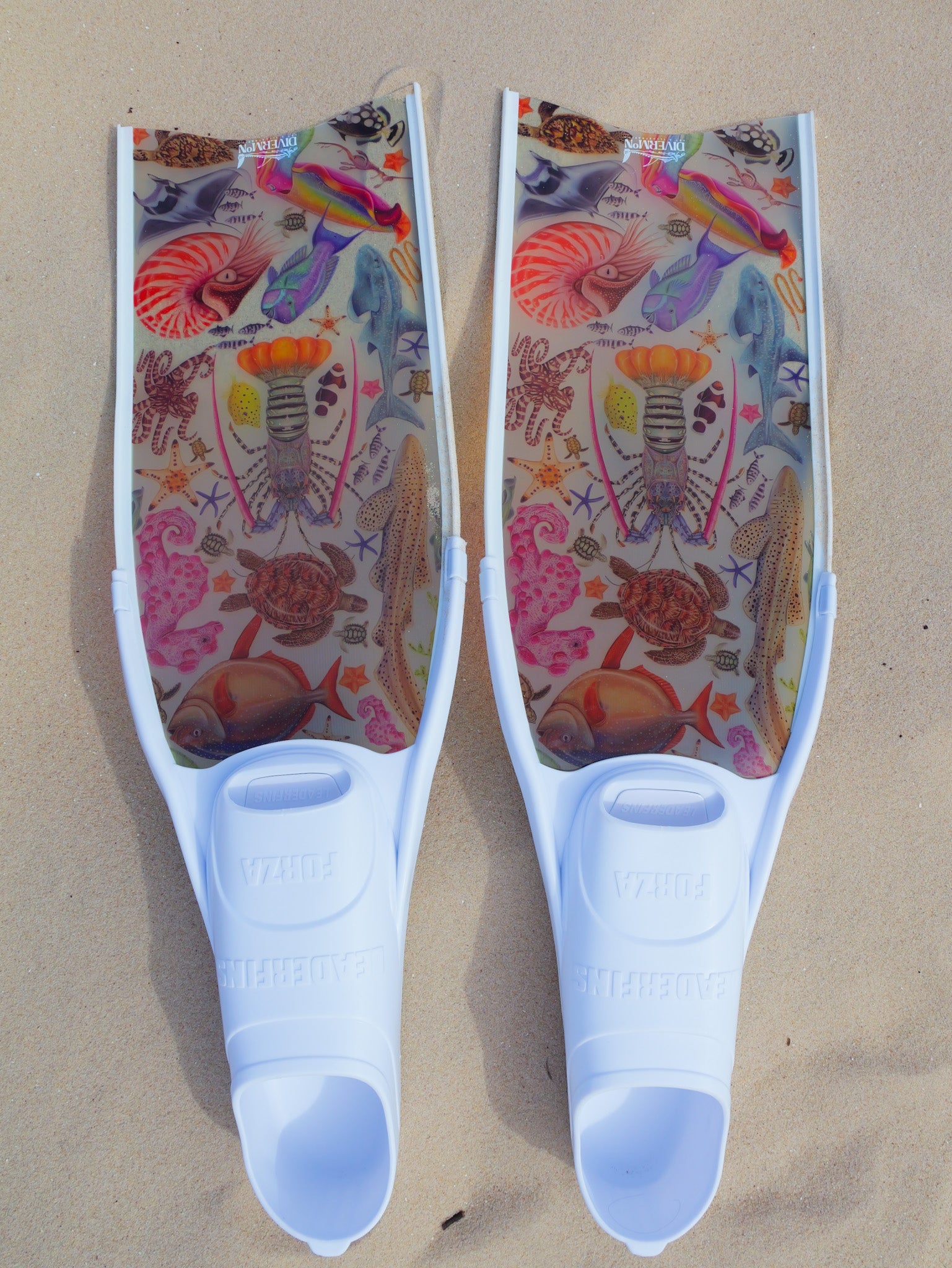 Short freediving fins for travel featuring rainbow ocean design with colourful marine life artwork by DiverMon