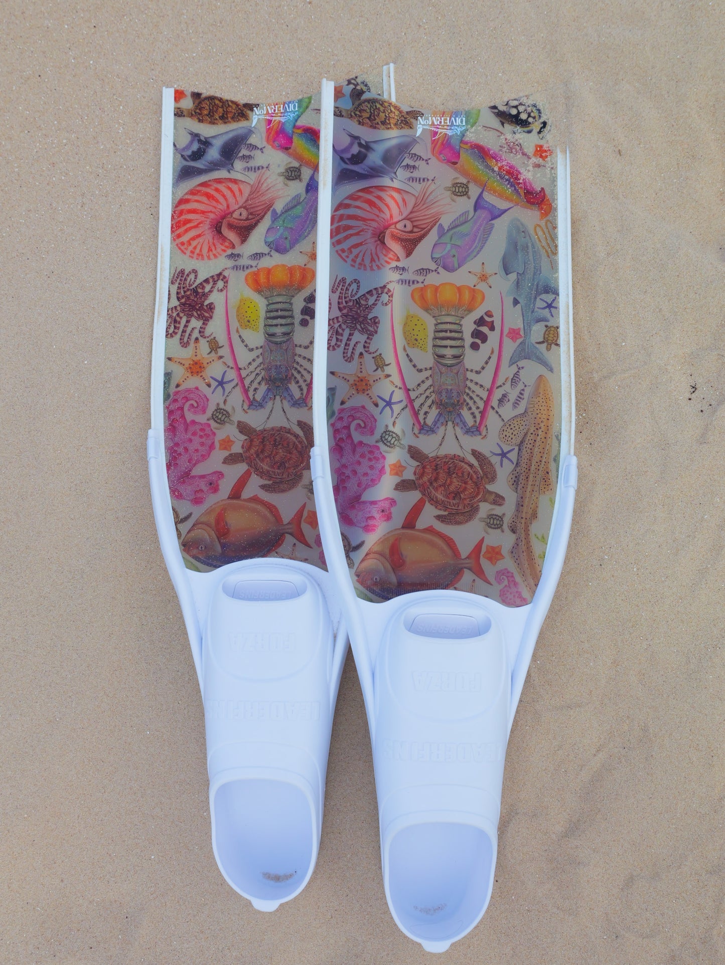 Short freediving fins for travel with rainbow ocean design with colourful marine life artwork by DiverMon