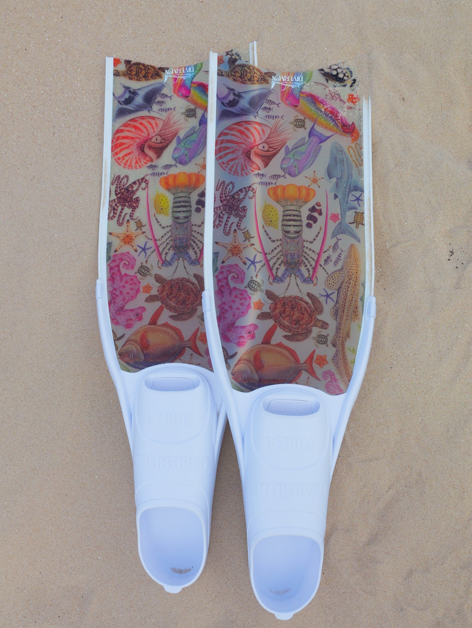 Short freediving fins for travel with rainbow ocean design with colourful marine life artwork by DiverMon