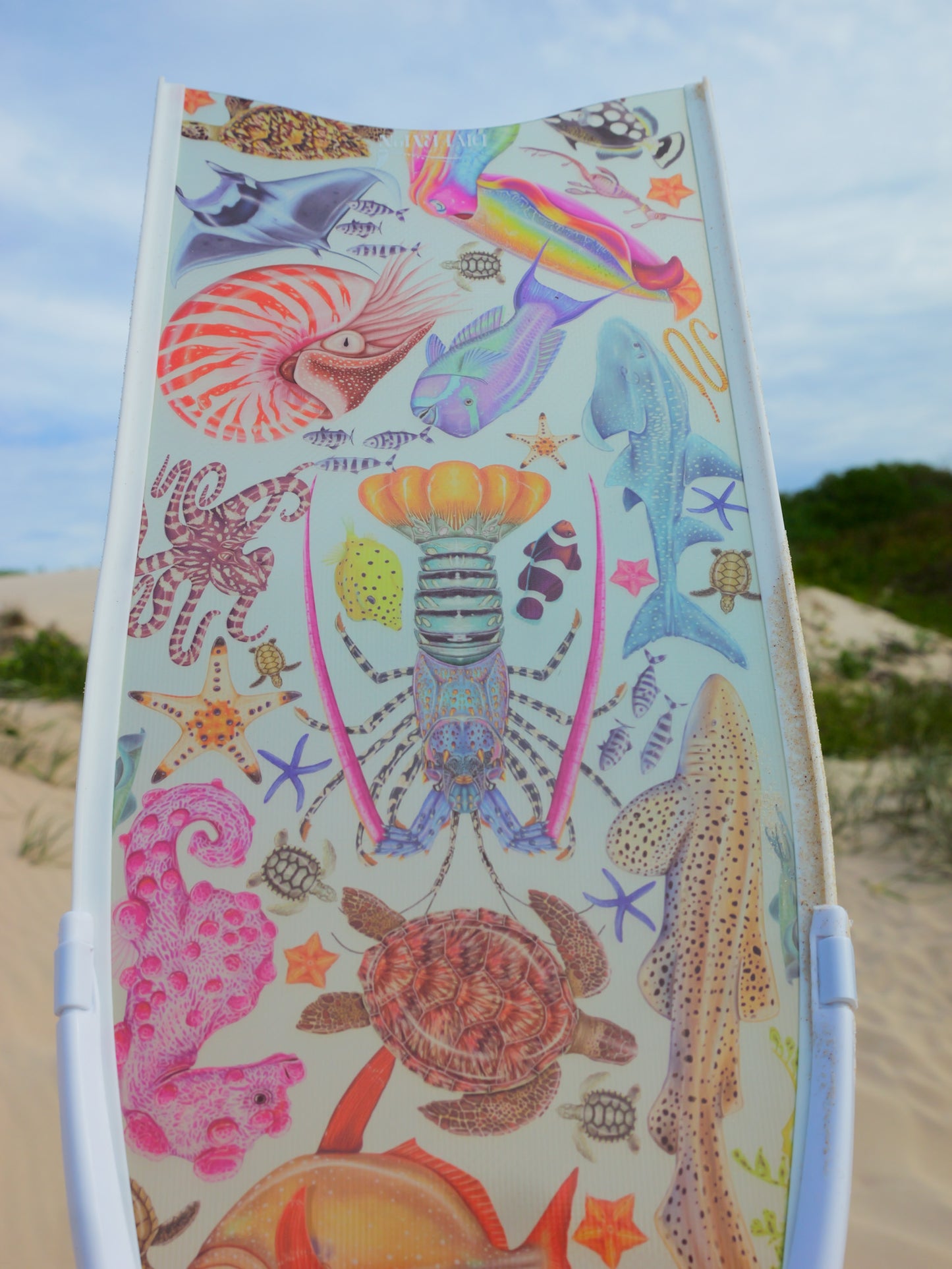 Short freediving fins for travel featuring rainbow ocean design with colourful marine life artwork by DiverMon