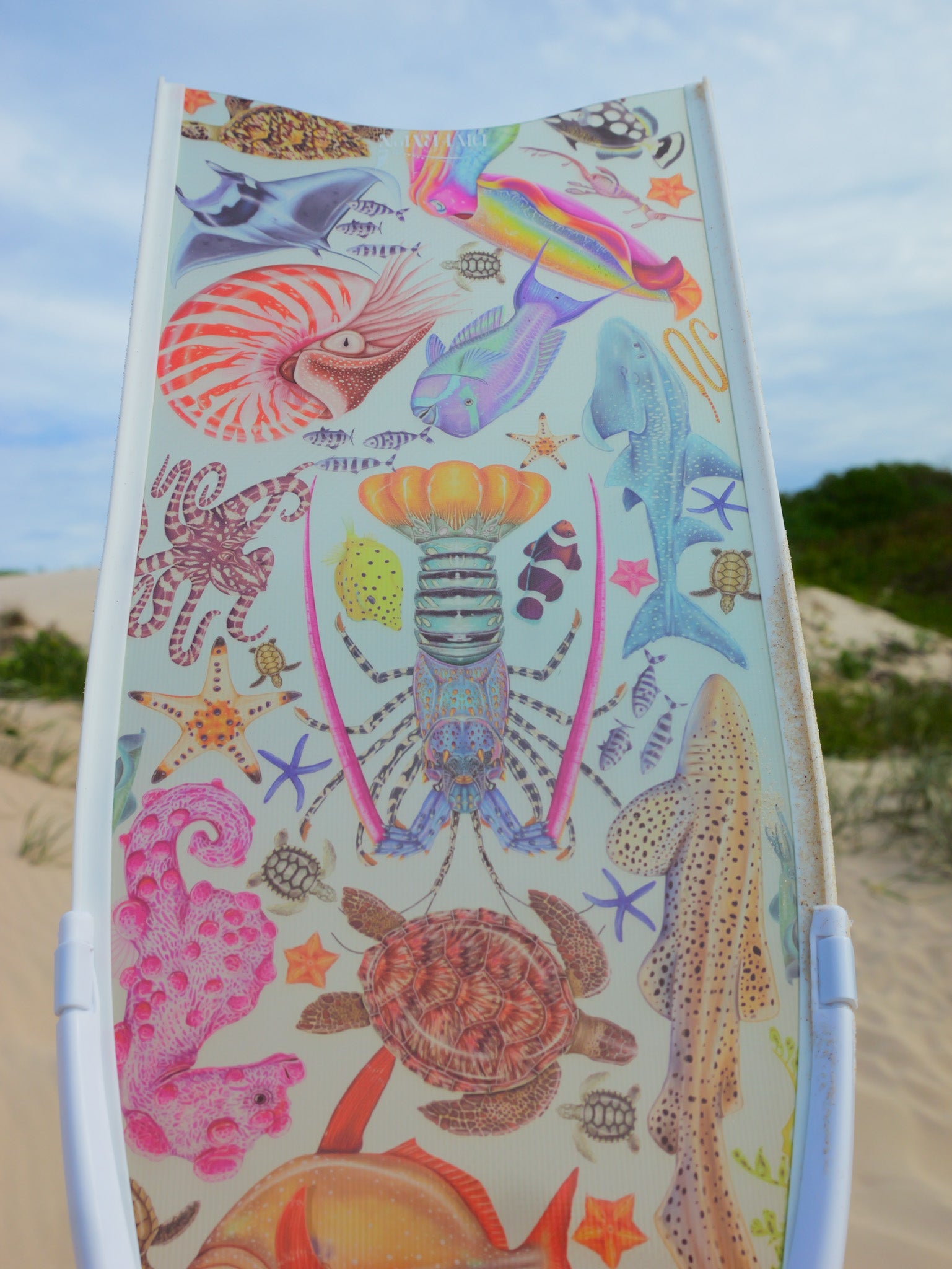 Short freediving fins for travel featuring rainbow ocean design with colourful marine life artwork by DiverMon