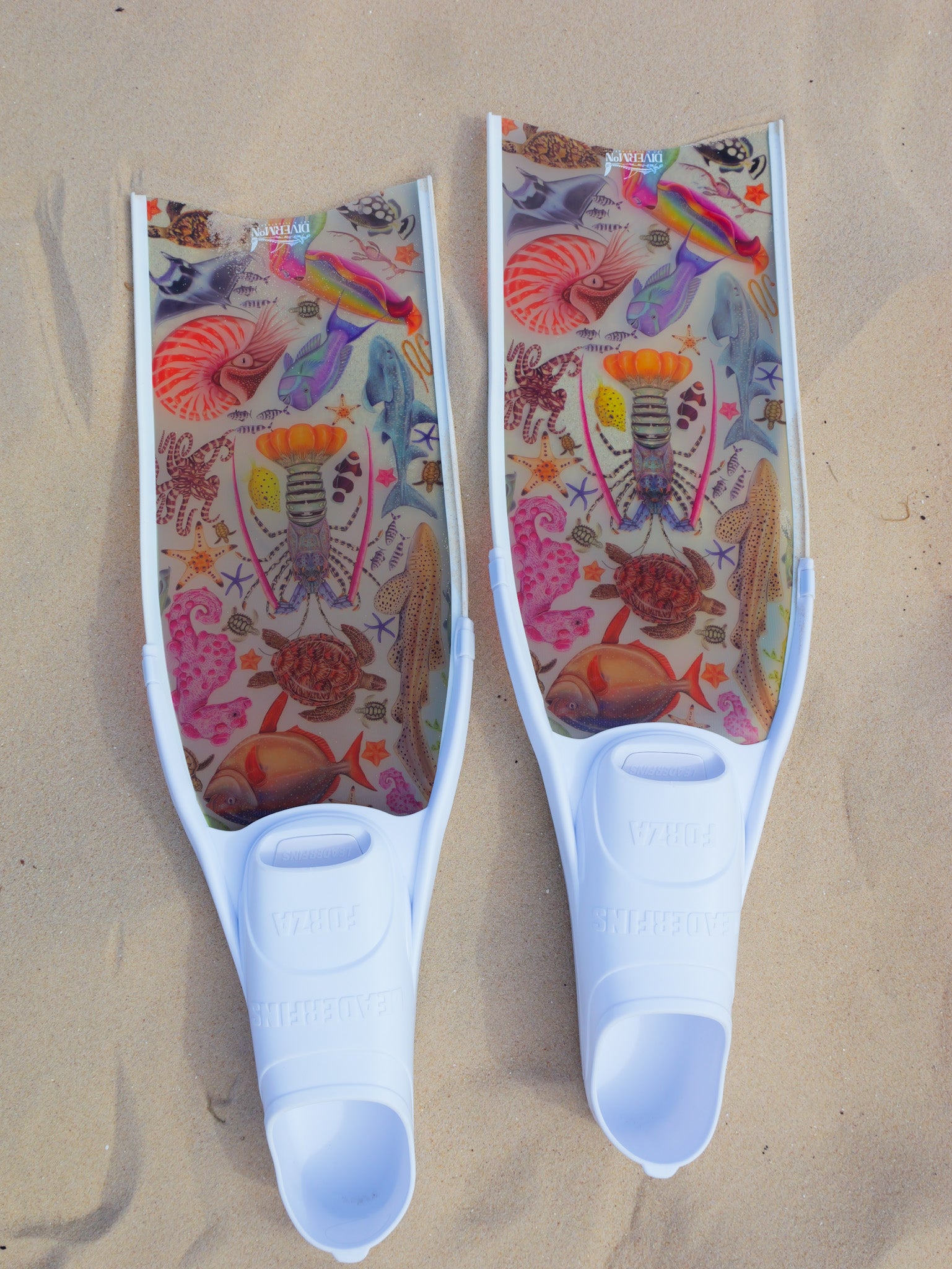 Short freediving fins for travel featuring rainbow ocean design with colourful marine life artwork by DiverMon